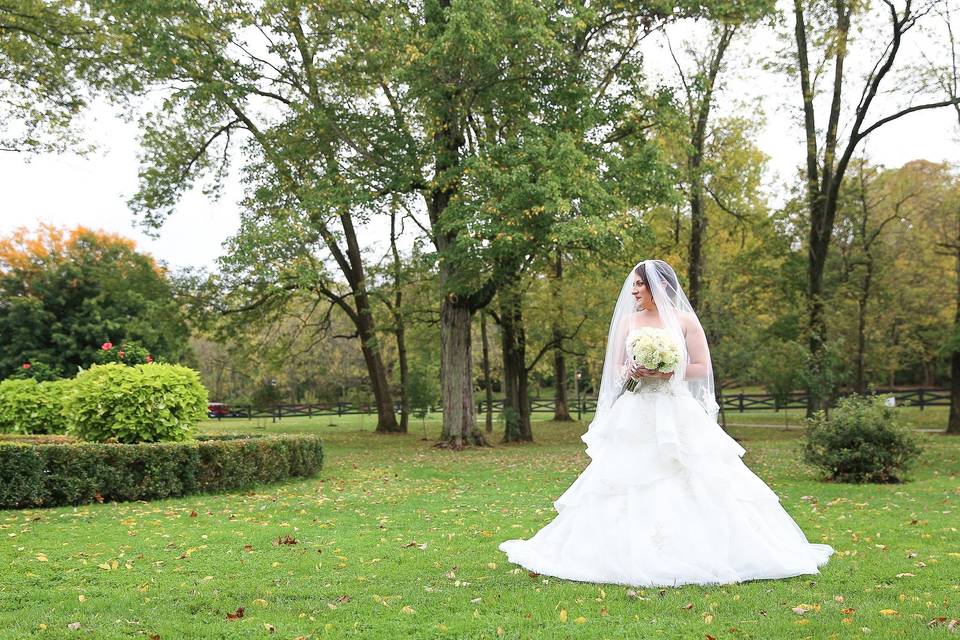 Allyson Hamilton Photography