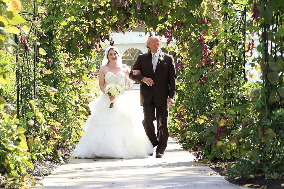 Allyson Hamilton Photography