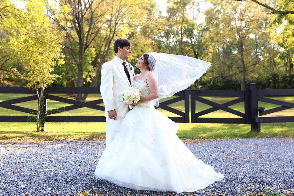 Allyson Hamilton Photography