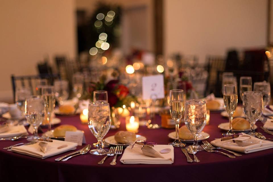 Allyson Hamilton Photography