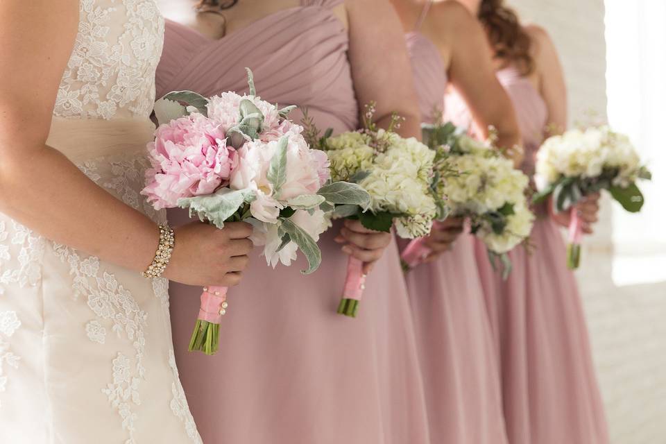 Allyson Hamilton Photography