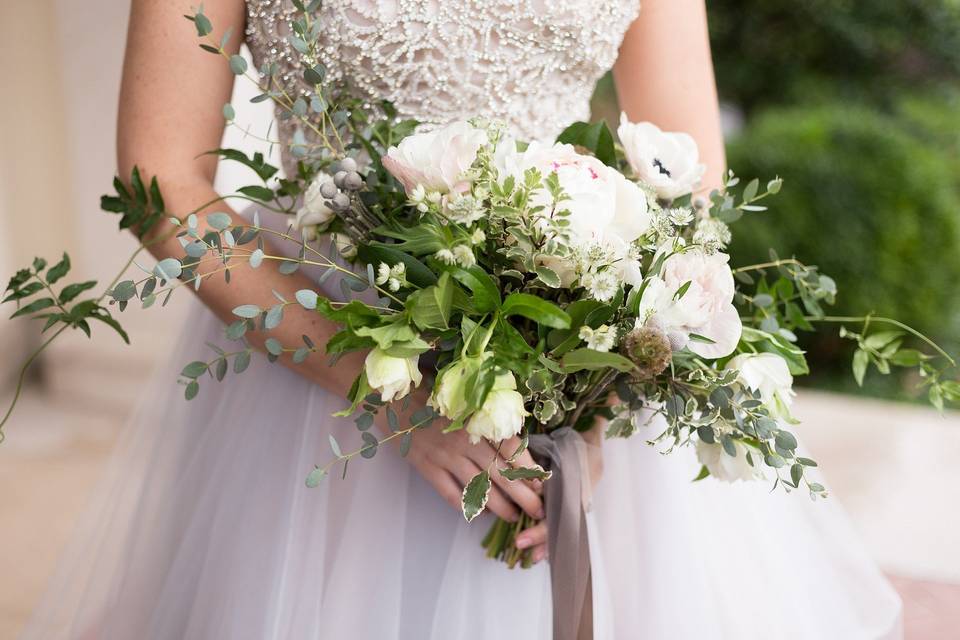 Allyson Hamilton Photography