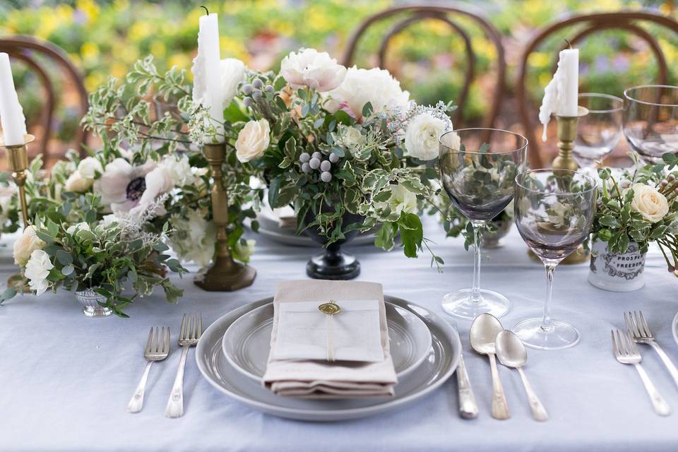 Allyson Hamilton Photography