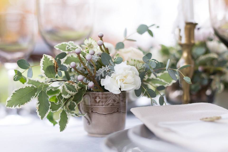 Allyson Hamilton Photography