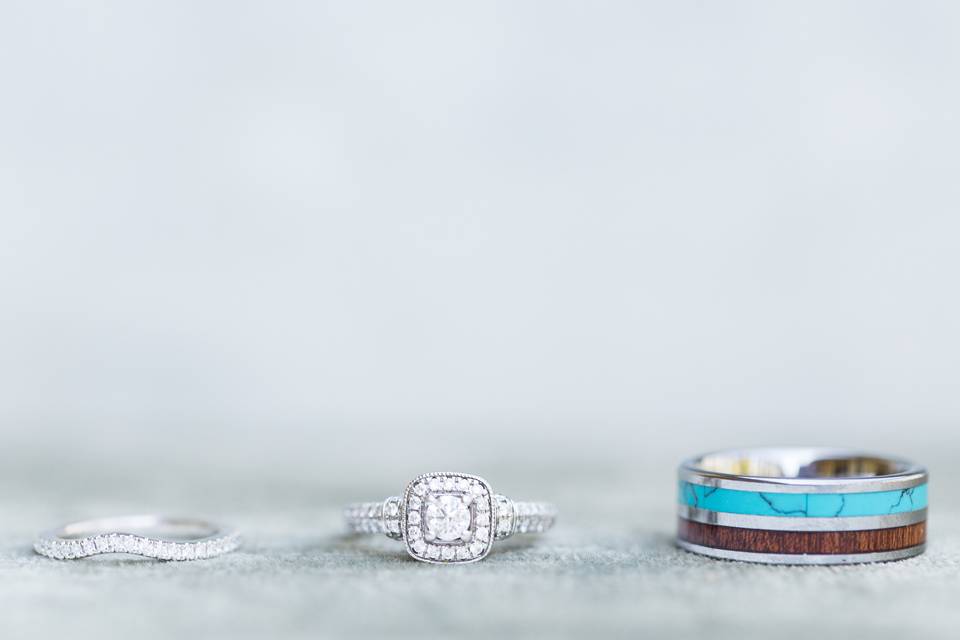 Allyson Hamilton Photography
