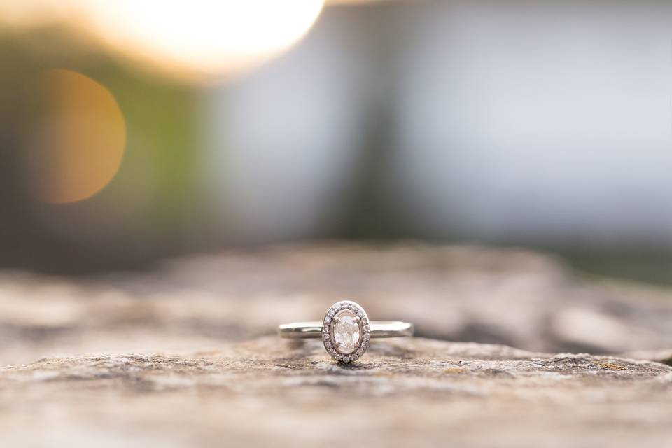 Allyson Hamilton Photography