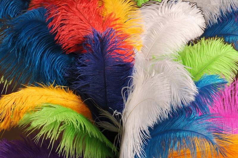 Decorative feathers