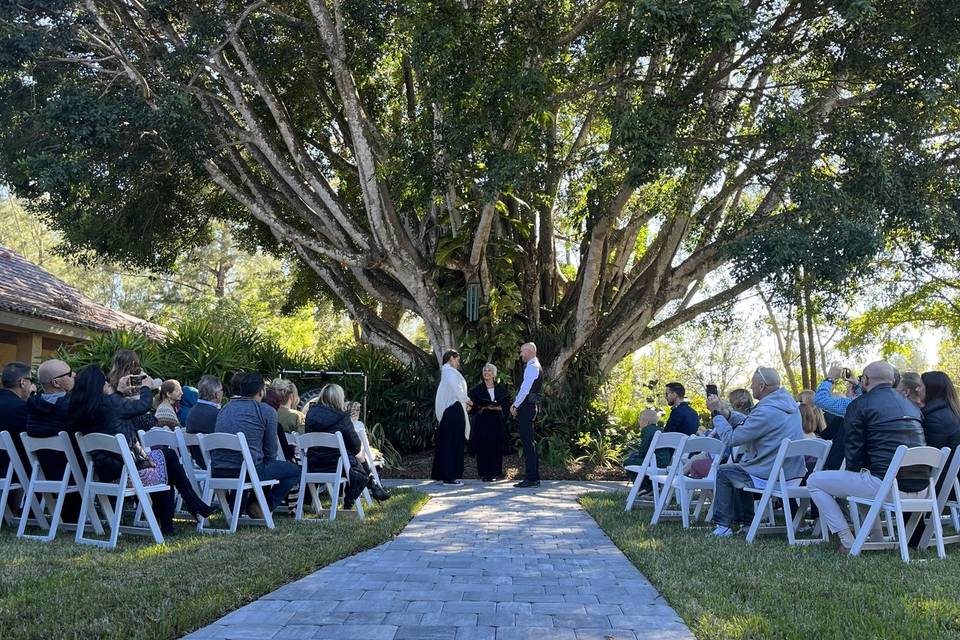 Ceremony Folding Chairs