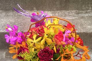 Madame Chrysanthemum