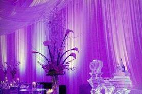 The Soirée Co. Wedding and Event Planning