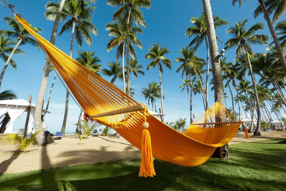 Beach hammock