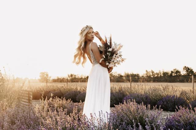 Lavender fields