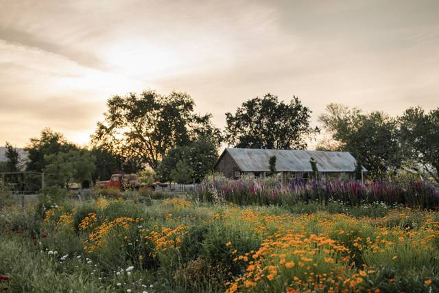 The Farm at Park Winters