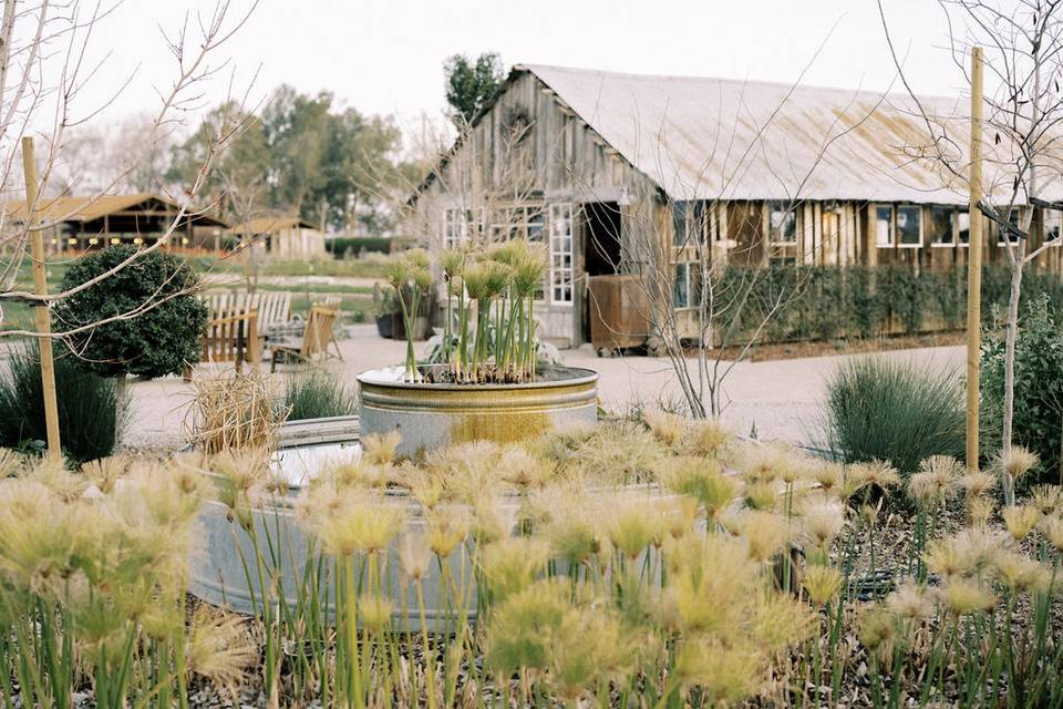 Flower Barn and outdoor founta