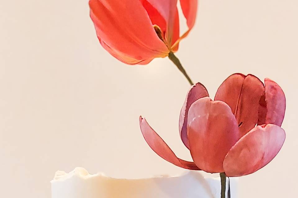 Open tulips made of sugar