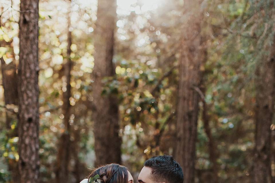 Love in the woods