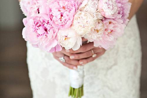 Soft colored flowers