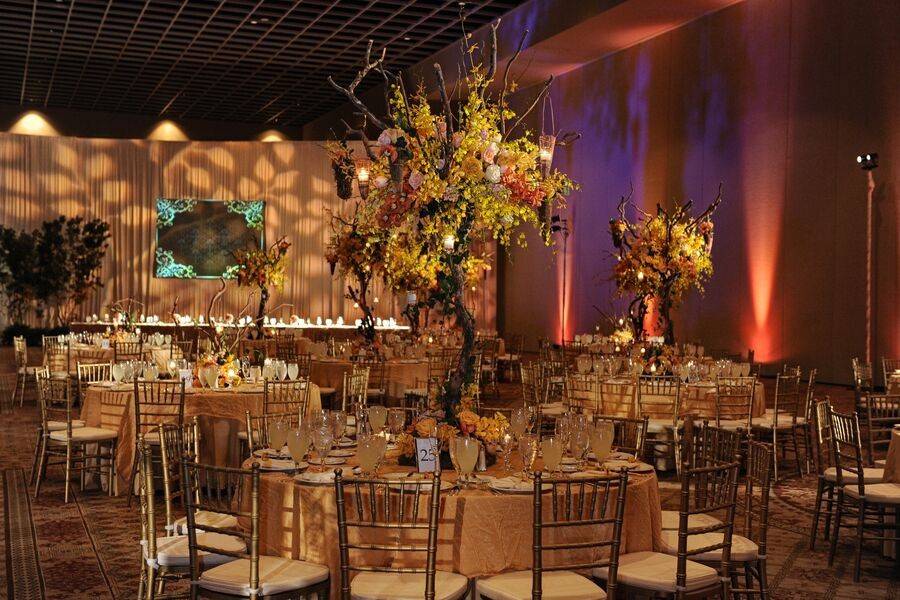 Fancy reception setup