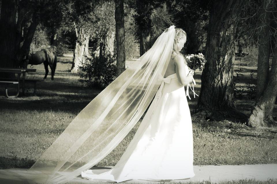 Christi Anne Photography
