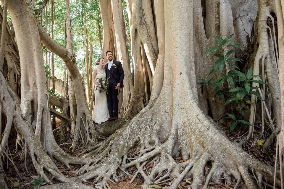 Banyan Grove