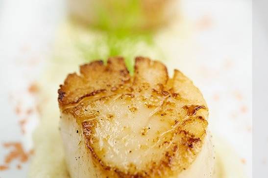 Pan seared scallops