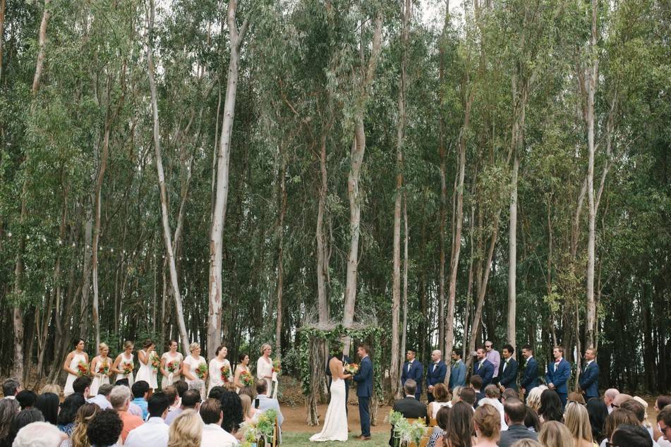 Forest ceremony