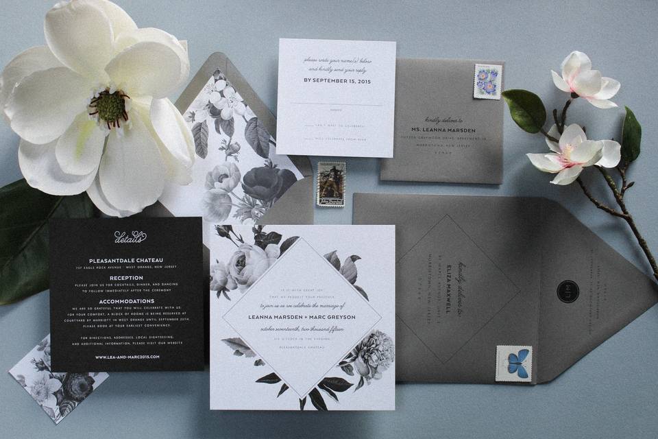Modern Botanicals Suite