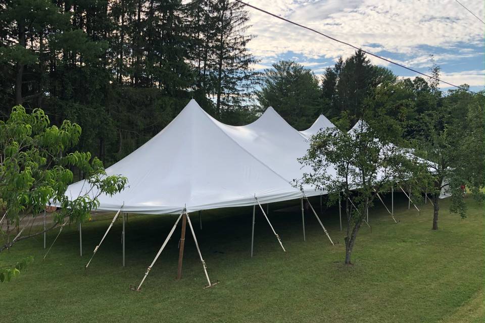 Tent 40x100