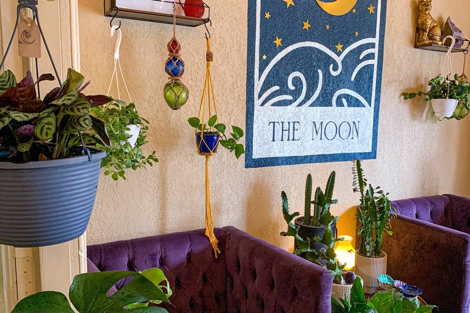 Cactus Moon Interior