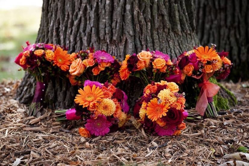 Fiddlehead Floral