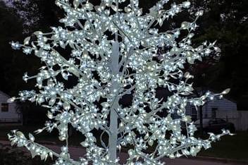 White Birch Tree of Lights