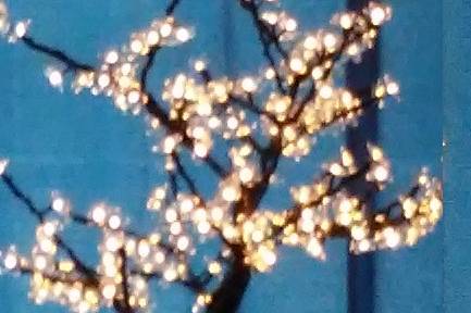 Tabletop cherry blossom tree