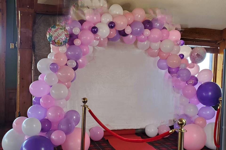 Balloon Arch Backdrop