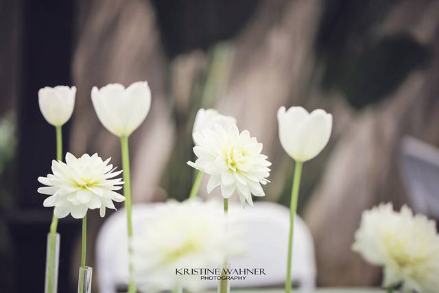 Kristine Wahner Photography
