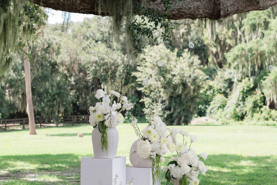 Wedding Photos