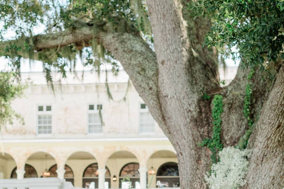 Wedding Photos