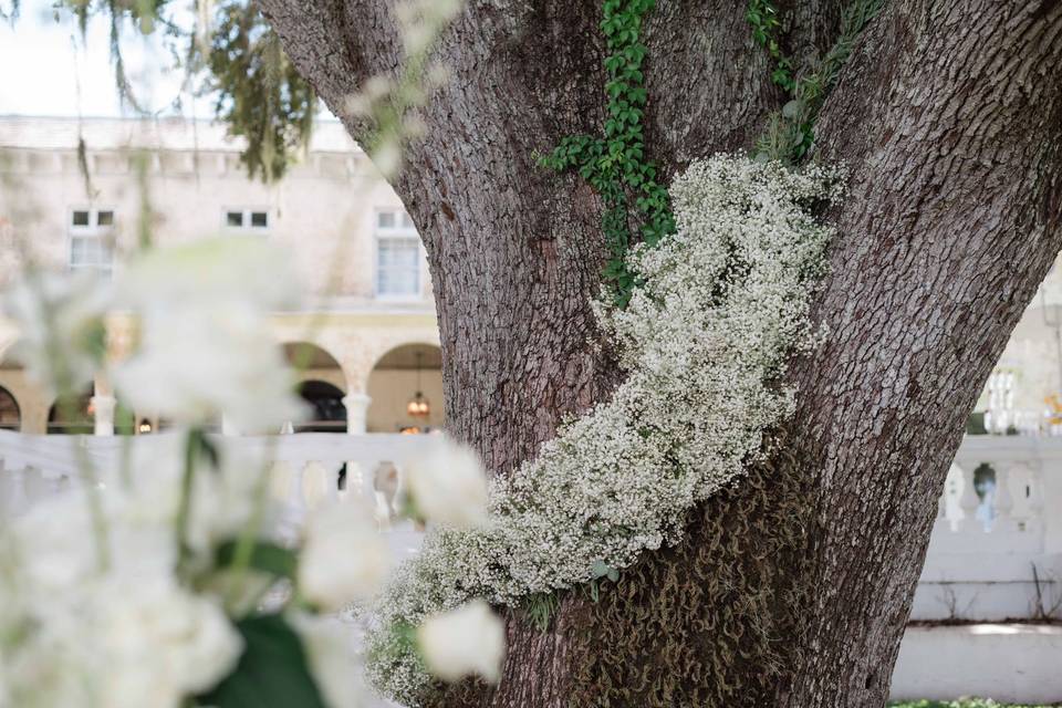 Wedding Photos