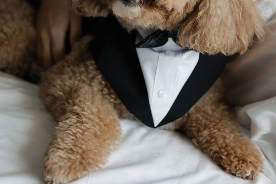 Wedding Photos