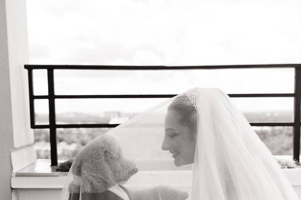 Wedding Photos