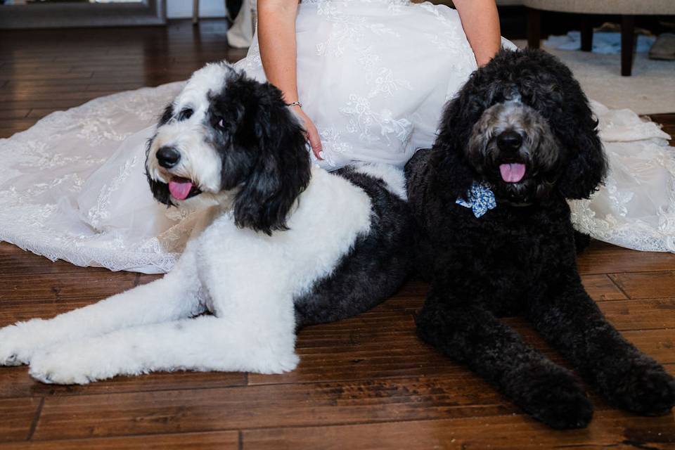 Wedding Photos