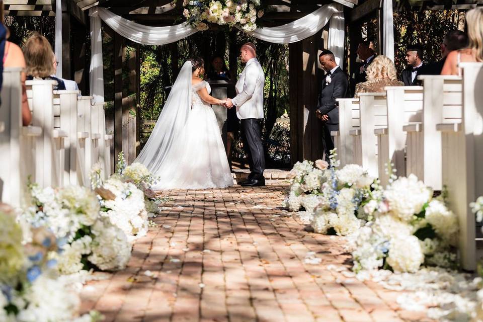 Wedding Photos