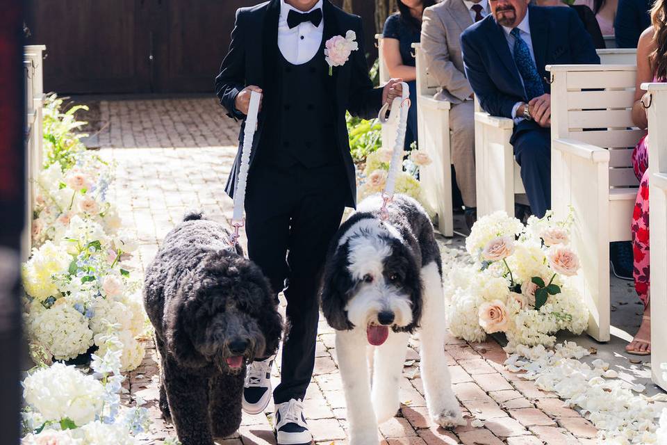 Wedding Photos
