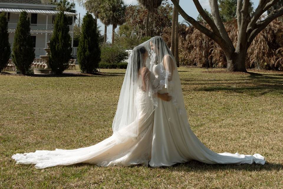 Wedding Photos