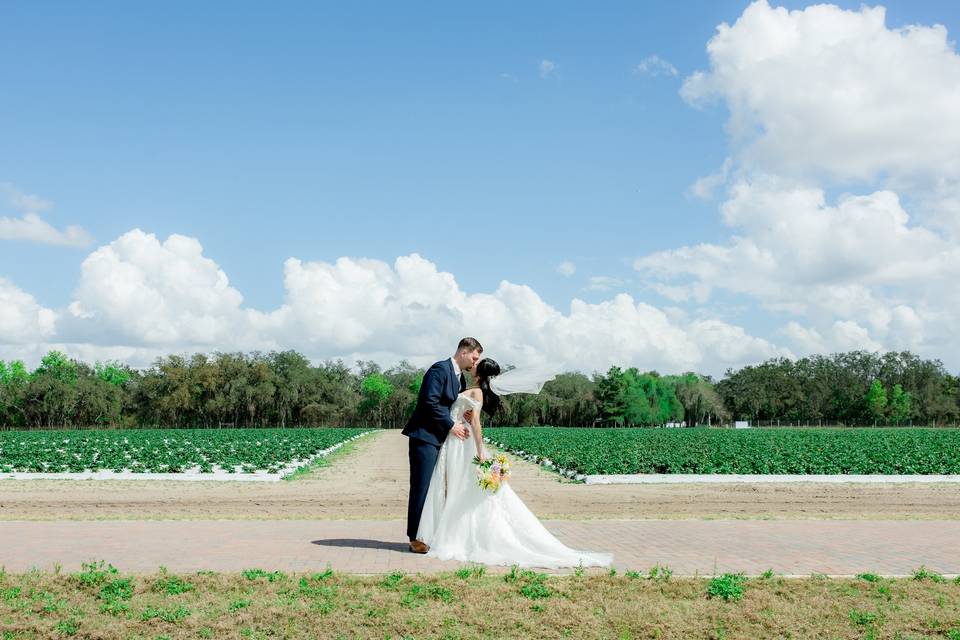 Wedding Photos