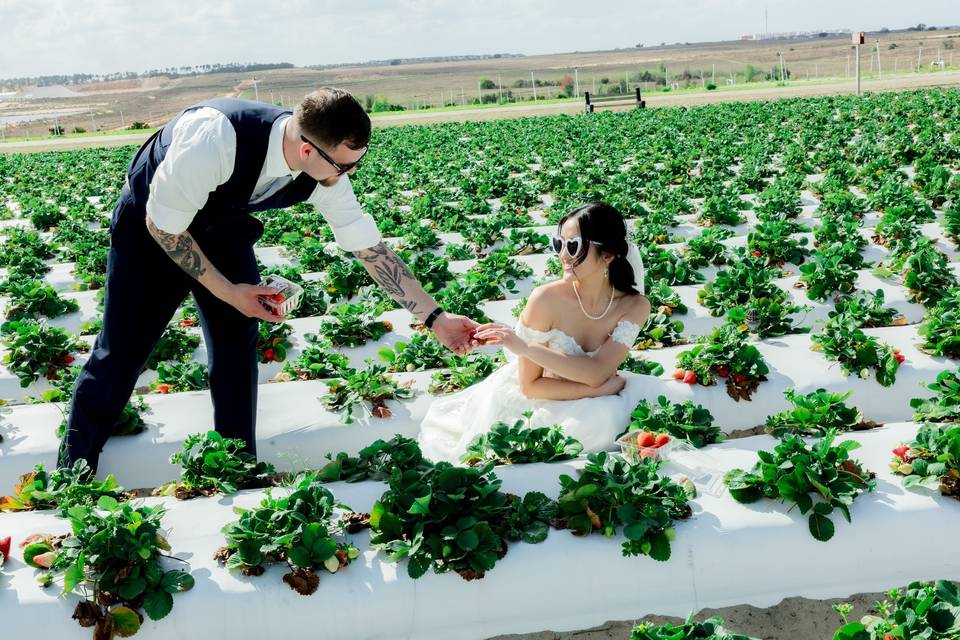 Wedding Photos