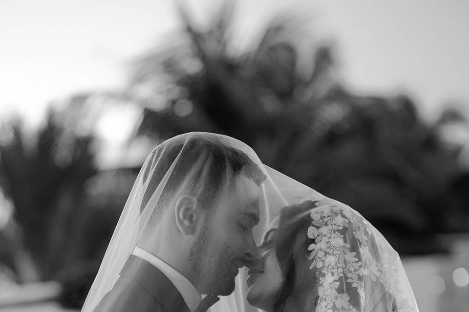 Wedding Photos
