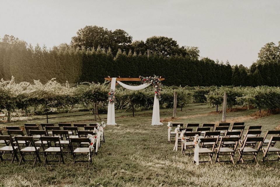 Vineyard Wedding 2