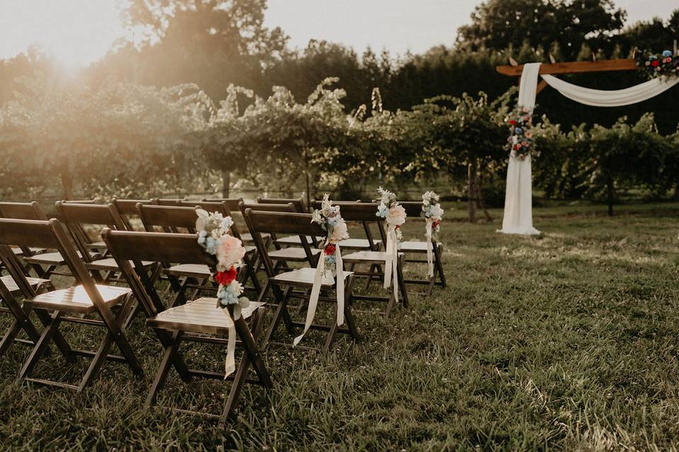 Vineyard Wedding 3