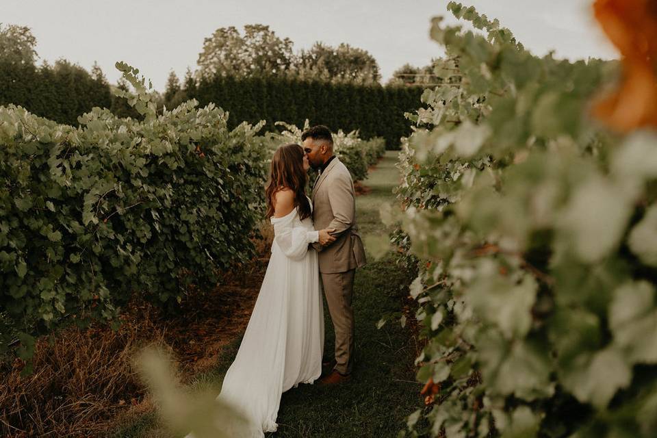 In the vines 2
