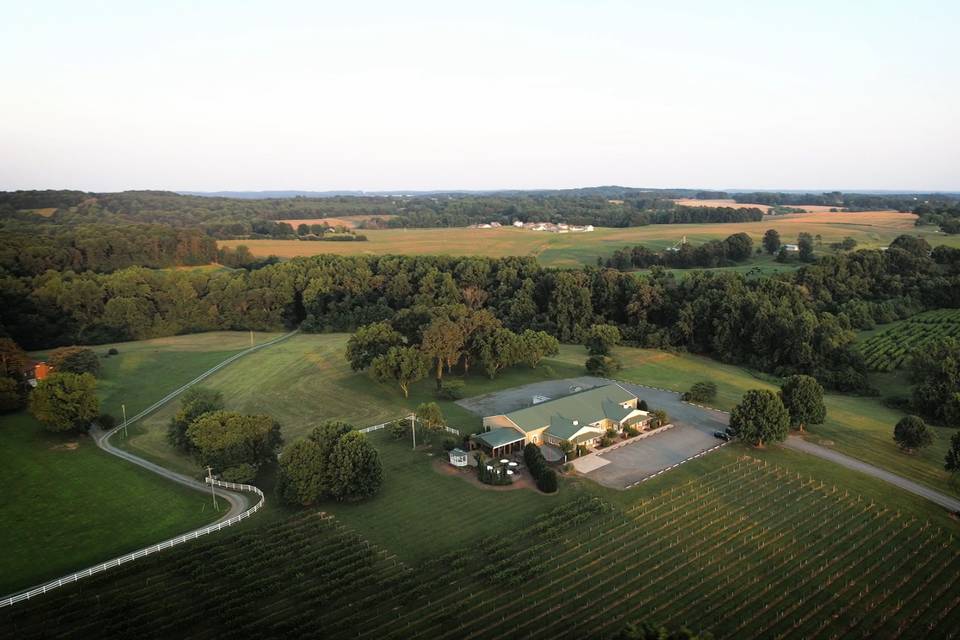 Uwharrie Vineyard Overview